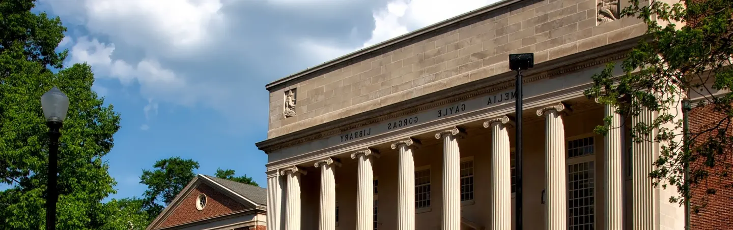 University background